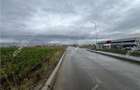 Teren intravilat de 36122 mp cu PUZ situat in zona Industriala Vest - 7