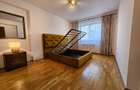 Apartament 3 camere Vedere Libera Herastrau - 9