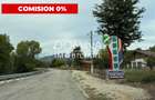 Vânzare teren 13.000 mp - Runcu-Suseni - oportunitate turistică - 1