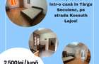 De închiriat două unități locative într-o casă în Târgu Secuiesc, pe strada Koss - 1