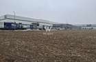 Teren industrial de vânzare , Sibiu– Zona Industrială Vest, 20.800 mp - 3