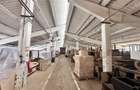 Hale industriale Teliu - 145000e  200.000e  350000e - 4