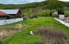 Teren intravilan de vanzare 2900 mp Luncani -Bacau - 5