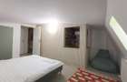 Vanzare apartament cu 4 camere in vila renovata Ultracentral Mitropolie - 4