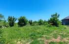 Lot pentru două case – Corbeanca Tamași - 7