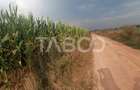 Teren de vanzare 18.844 mp zona Turnisor Sibiu - 3