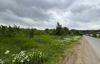 Terenul dintre 2 lacuri – 1000 mp în Mogoșoaia, la 5 minute de pădure - 4