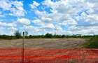 Teren 5000 mp Băneasa | P+4 | Lângă Pădure | Investiție - 3