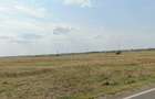 Cazasu || 3.7 Ha || Braila || Teren intravilan || Logistic Development - 2