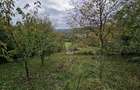 0 % comision, Lot format din 3 parcele, zona Antonio Gaudi-Borhanci - 9