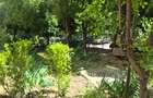 3 Camere, Decomandate, Tomis Nord Brotacei - 21