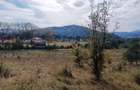 teren in zona Bradet-Sacele - 5