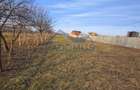 Teren intravilan 2.150 mp, deschidere 17 m – Albești-Paleologu - DN 1B - 5