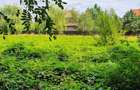 PARADISUL VERDE- teren in suprafata de 1 326 mp,. utilitati - 1