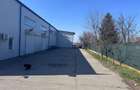 Hală + Clădire Birouri | 2000mp teren | Acces TIR | Zonă Logistică Est Craiova - 2