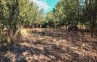 Vând casă 137mp și teren intravilan 5800mp în Supuru de Sus,jud.Satu Mare - 15
