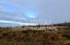 Teren extravilan 6.500 mp – Cârțișoara | Comision 0% - 5