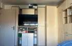Mobilat, utilat ,Apartament cu 3 camere, Centru Nou - 13