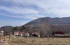 Teren 1,697mp Cisnadioara / Strada Silvicultorilor - 1