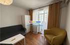 Inchiriere apartament 2 camere Piata Victoriei Nicolae Titulescu - 22