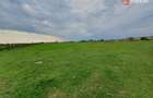 Teren intravilan cu suprafata de 58.340 mp, in Sanmartinul Sarbesc - 22