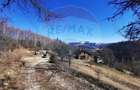 6,2 ha + business turistic activ | Munții Apuseni - 3