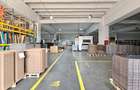 Hale Industriale 5065 mp de vanzare Str. Bradului - Bacau - 5