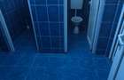 Inchiriez spatiu comercial in Deva, zona Avram Iancu (fostul Punct Termic), - 9