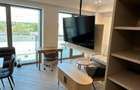 PIPERA IANCU NICOLAE CORTINA DE INCHIRIAT GARSONIERA LUX - 9