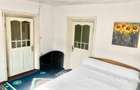Potențial pensiune / investiție / casa de vacanță  - 8