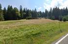 TEREN POIANA BRASOV - SUPRAFATA 10.448 MP - 5