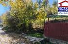 3600 mp teren intravilan, sat Bistrita, 12 Euro/mp - 6
