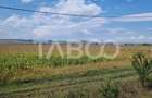 Oportunitate investitie comision 0% 28000 mp in Sura Mica Sibiu - 5