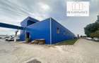 3 Hale Clasa A | 11.250mp Construiti 25.450mp Teren | Freidorf - 6