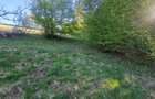RECO, teren intravilan, Zona Sinteu, Bihor - 7