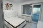 apartament 2 camere renovat lux 2025 - 2