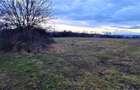 Vanzare teren Mioveni sat Clucereasa - 2