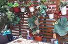 Vila P+1+M - Navodari - 210.000 euro (Cod E1) - 10