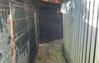 Apartament patru camere sector 4 - 2