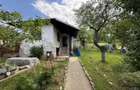 2 Case + teren 1390 mp langa parcul central Provita de Sus - 37