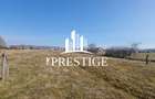 TEREN DE VÂNZARE 1000 MP ȘELIMBĂR ZONA TROIȚĂ | INVESTIȚIE - 9
