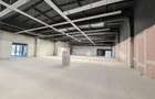Spatiu comerical pretabil showroom - Sala Fitness - Padel - 6