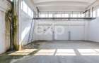 Două hale de închiriat – 863 mp | Calea Moinești | Zonă industrială - 13
