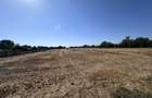 Teren de vânzare | 5.208 mp | Str. Bucegi, Creata – Dascălu - 1
