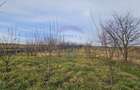 Teren extravilan 10,791mp Falticeni / Strada DJ209A, Opriseni - 2