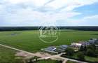 OPORTUNITATE INVESTIȚIE:Teren intravilan 25.000mp Dascălu-Pădure, parcelabil - 13