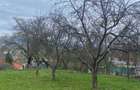 RECO Teren intravilan 4669 mp Dobricionesti cu o priveliste frumoasa - 3