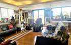 Apartament tip penthouse Kiseleff - 4