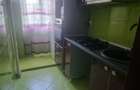 Apartament cu 3 cam - Str Resita - 5