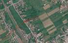 Teren de vanzare 2630 mp- Jiblea Veche - 1